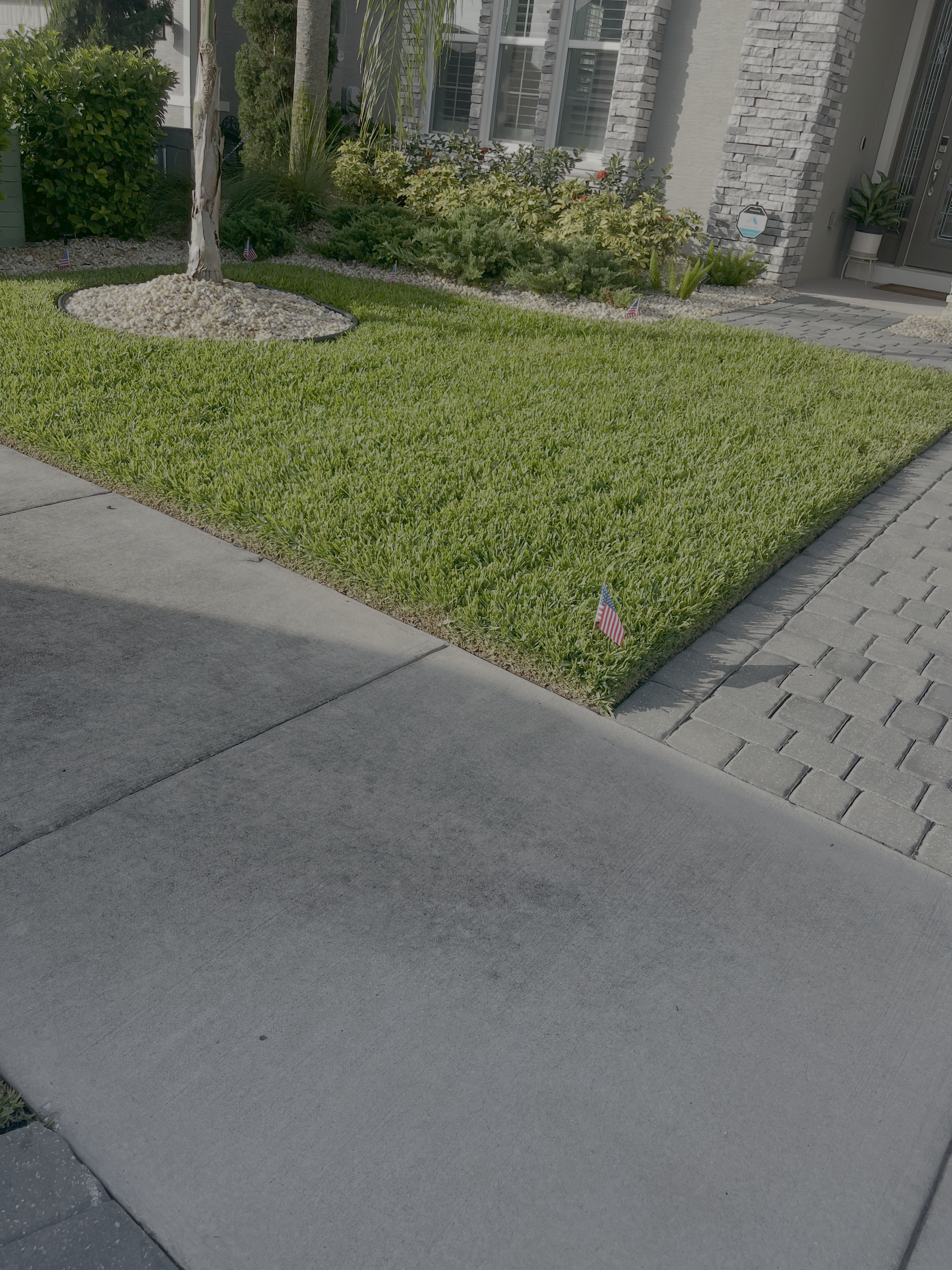 Professional lawn care by The Bush Barber