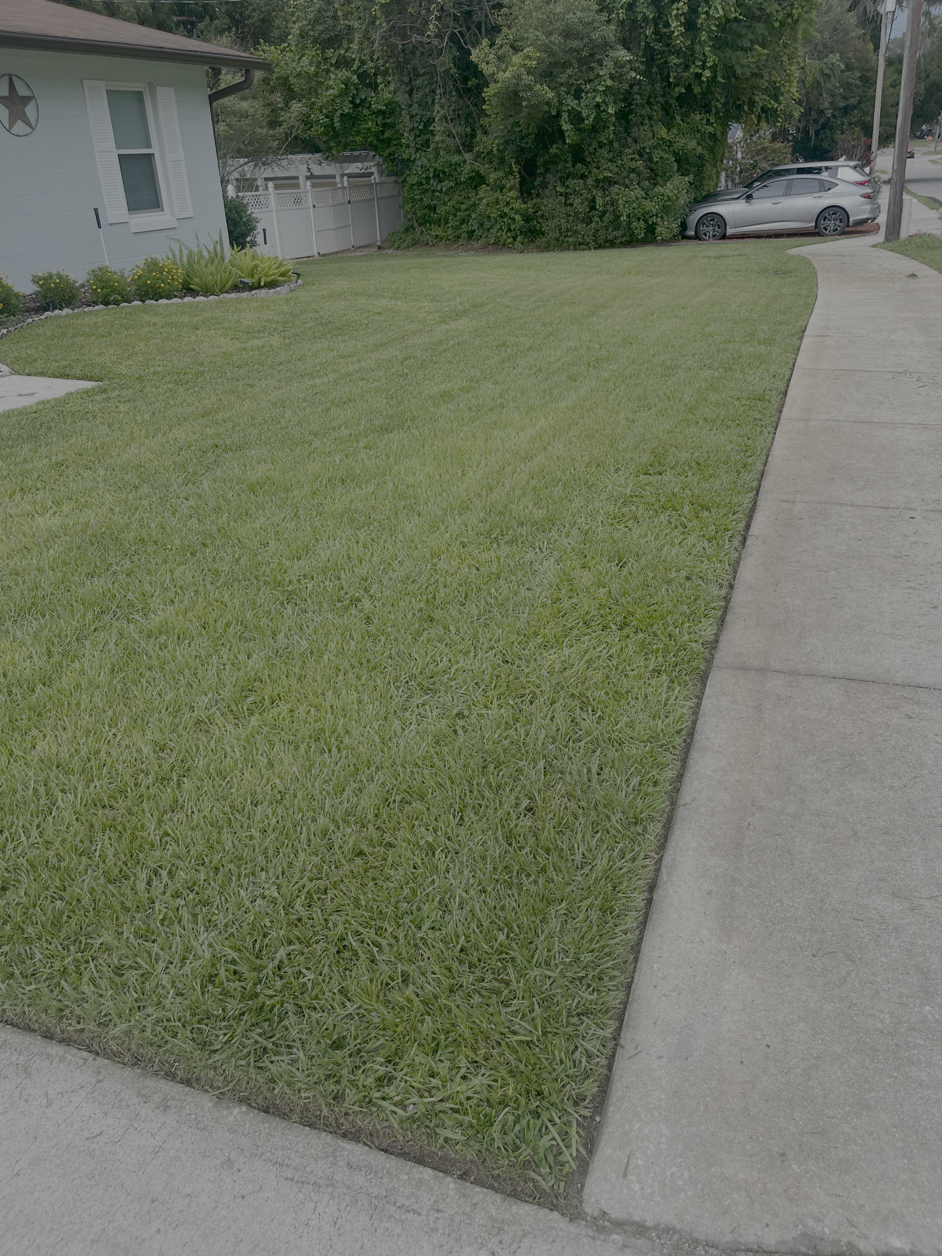 Beautiful lawn maintenance results