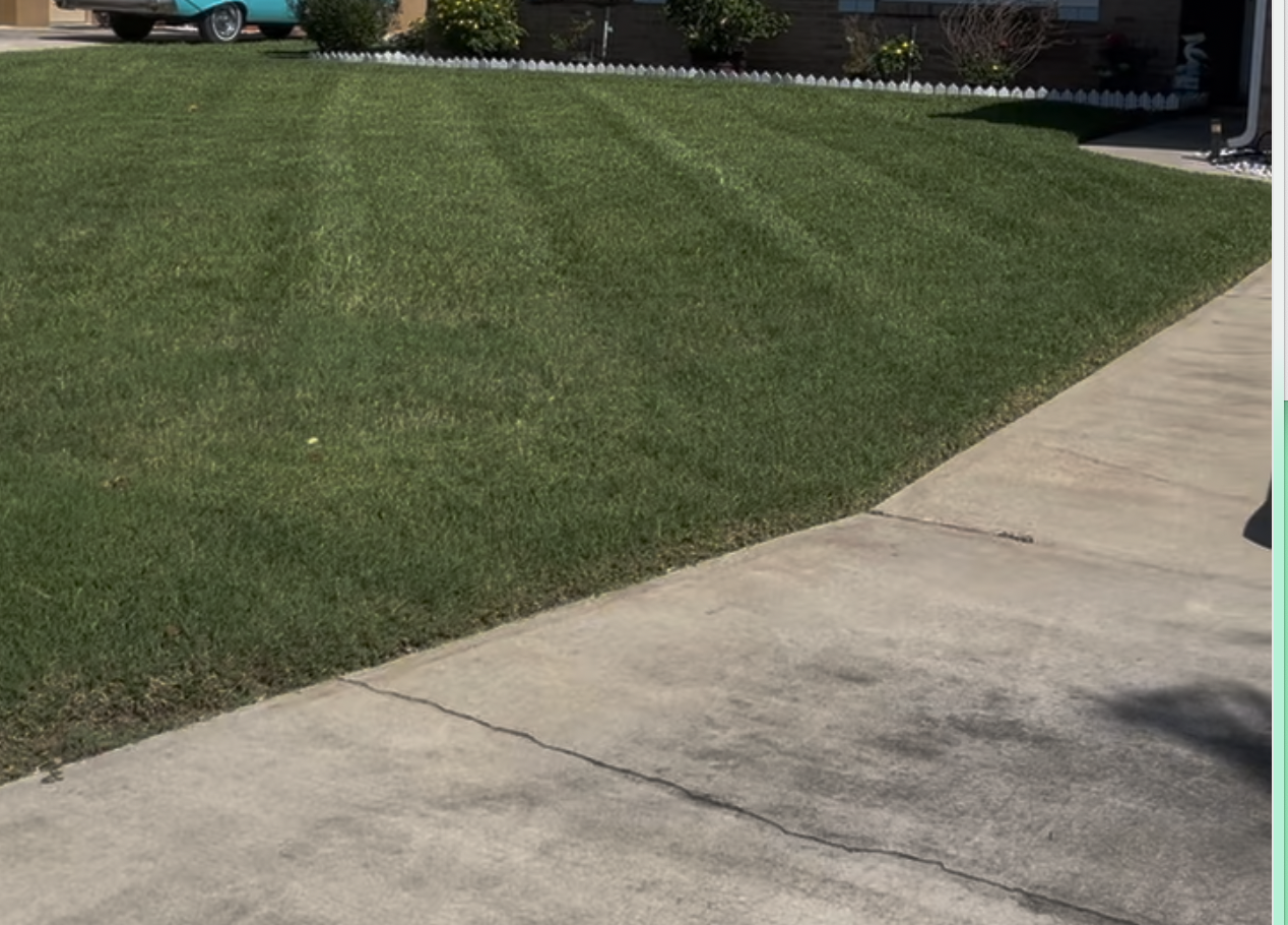 Expert landscaping services