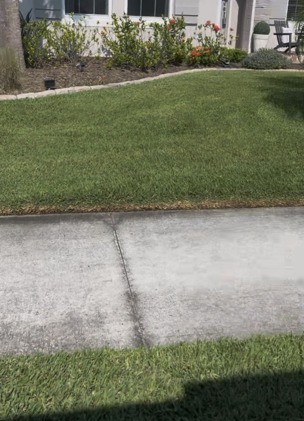 Quality lawn care transformation