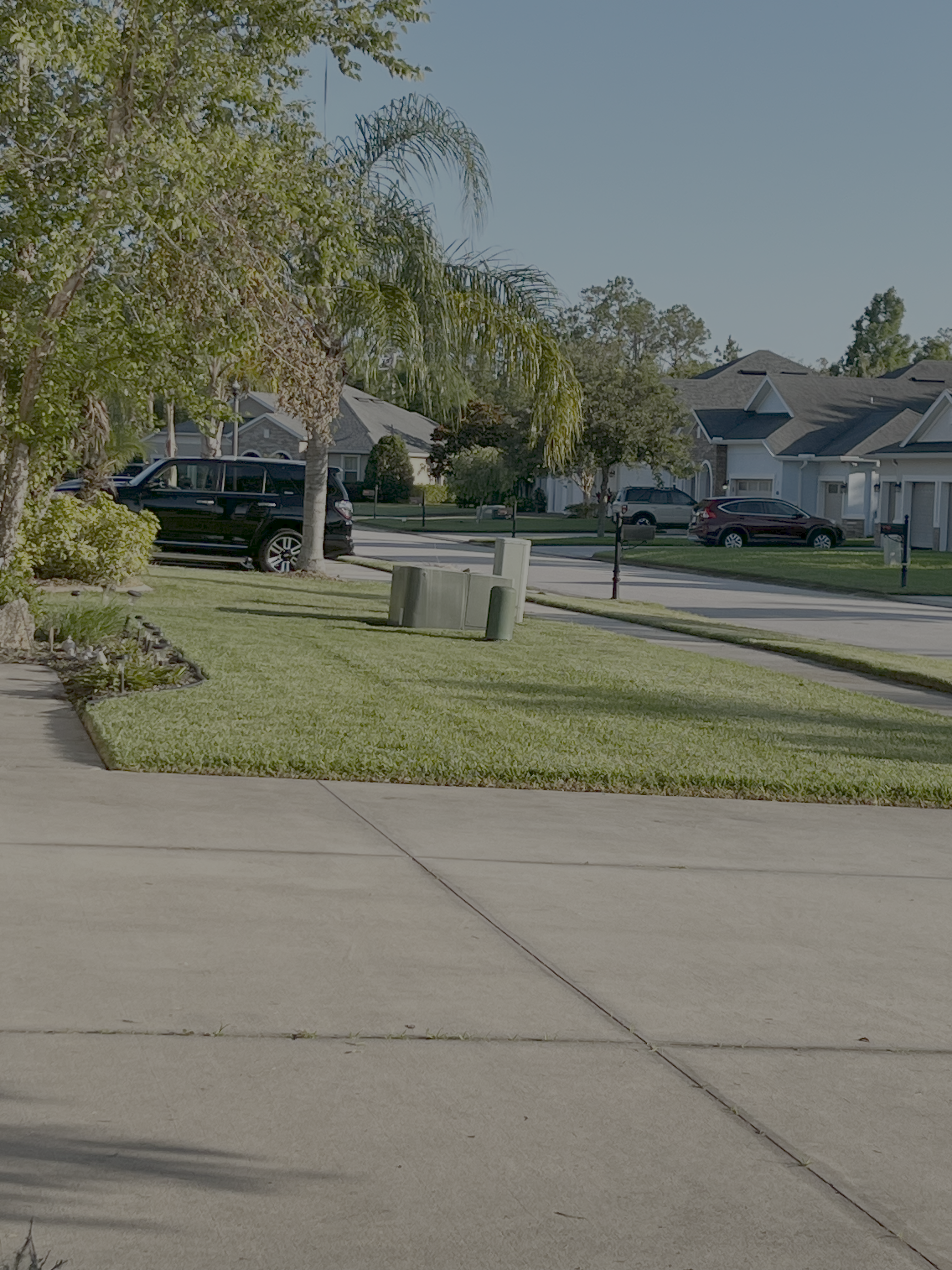 Quality lawn care transformation